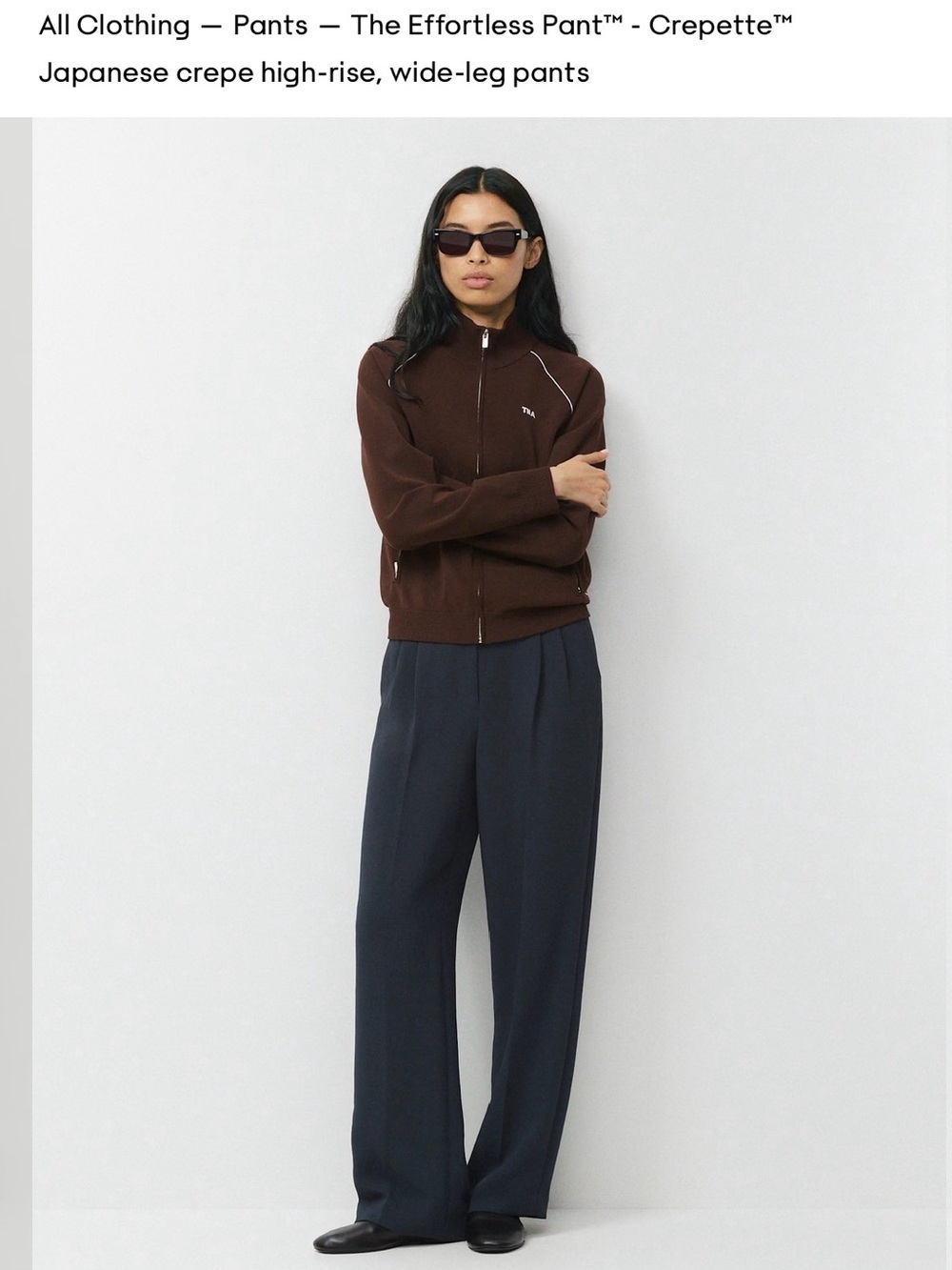 Aritzia Wide-Leg High-Rise Trousers in Navy